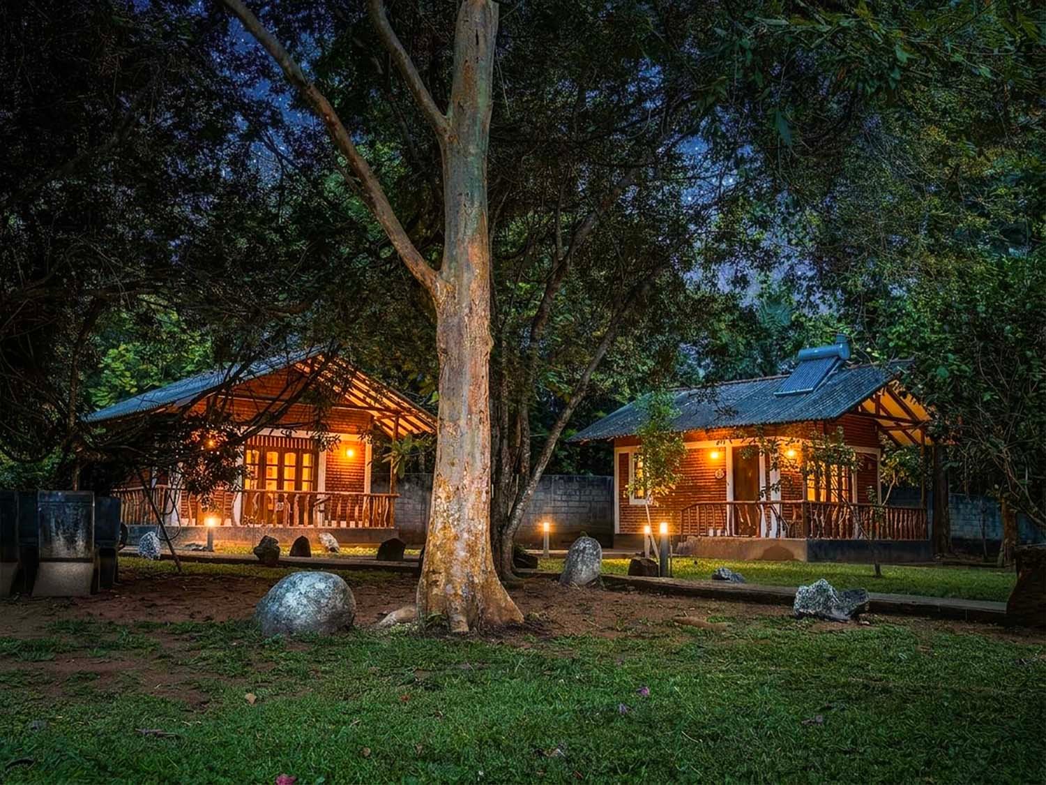 Mastodon Valley Resort Cottages at Night